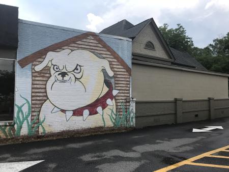 Painting of UGA bulldog on side of building off of Prince.