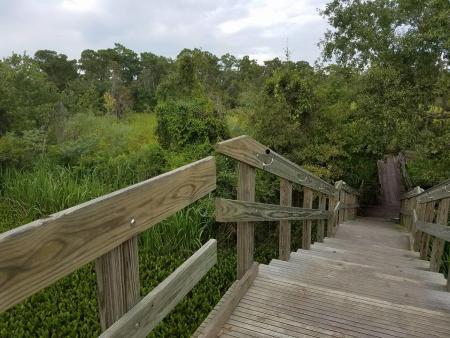 Barataria Preserve