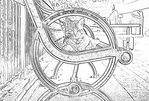 Ohiopyle Cat Coloring Page Adult