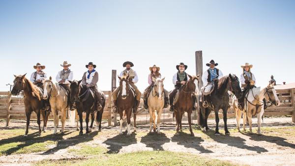 Fort Worth Herd