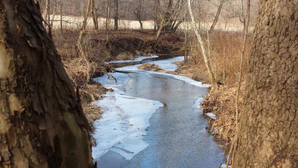 Winter at Burkhart Creek Park