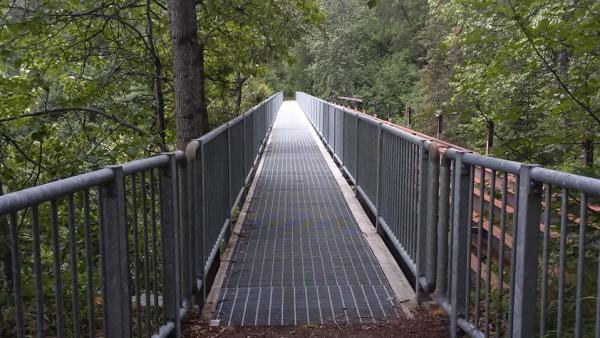 a metal foot bridge over a lush mountain valley