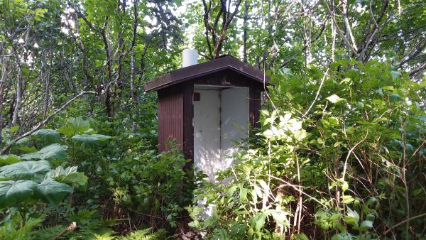 an outhouse in a temperate rainforest