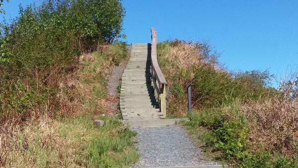 wooden stairs going up a hill