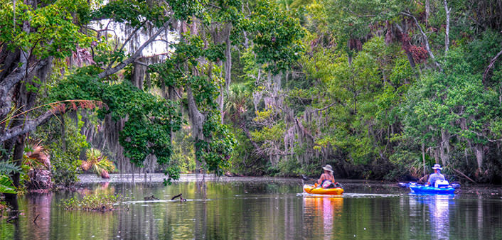 Two people experience an eco adventure by kayaking along a creek