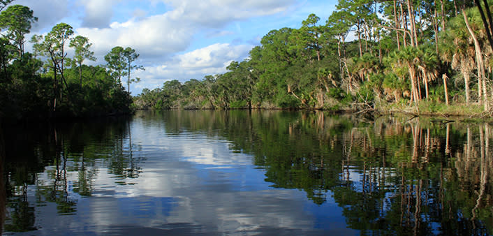 A creek view of Sanchez Park