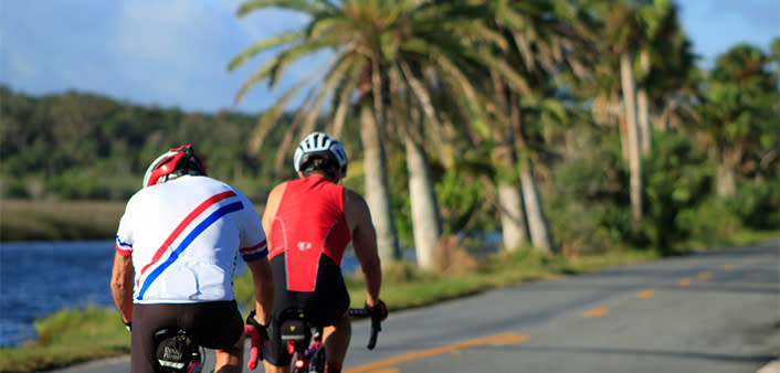 Two bicyclists cycle along a palm-lined road in The Loop