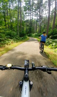 Cycling_Road_2