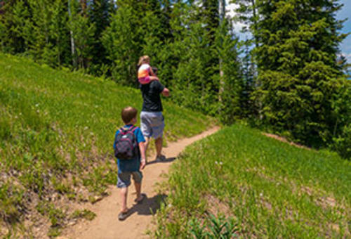 Vista Nature Trail