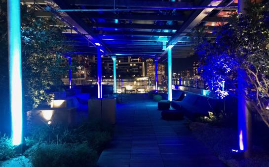 Roof Garden