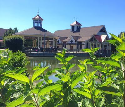 Crossings of Colonie
