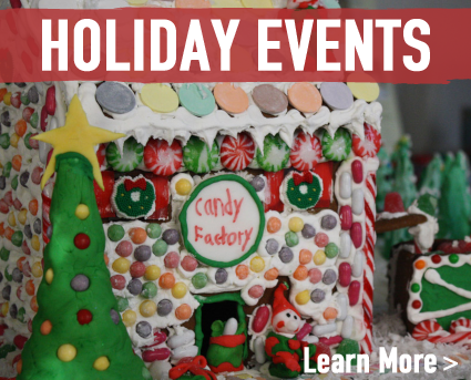 Holiday Season In Roanoke Va Holiday Deals Packages