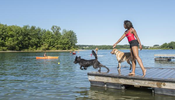 Woman playing with dogs at Codorus State Park