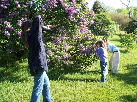 Kids smell the lilacs for a photo in Rochester's Highland Park