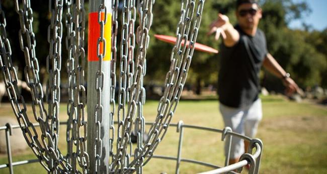 Man playing Disc Golf