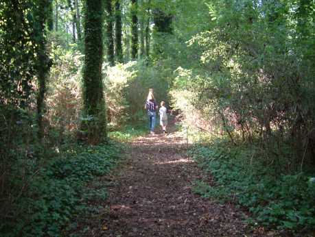 Chesapeake Arboretum - Family Walking Trail (Back)
