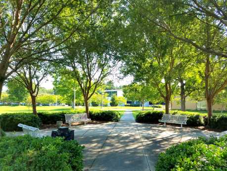 Courtyard Square Park