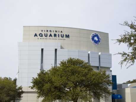 Virginia Aquarium