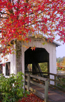Covered Bridges Scenic Bikeway Eugene Cascades Oregon Coast
