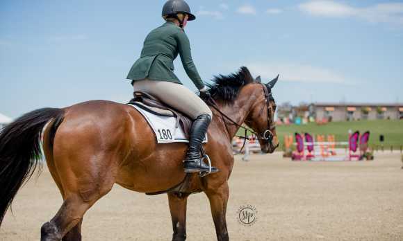 Paso Robles Horse Park Paso Robles Ca 93446