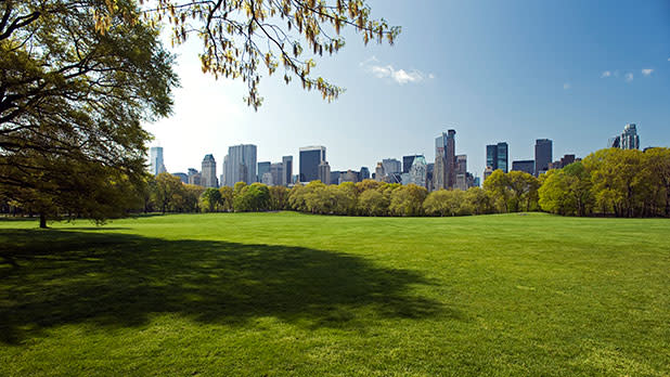 View of Manhattan skyscrapers from Central Park