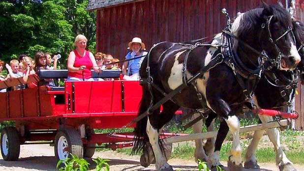 Greenwood Hill Farm