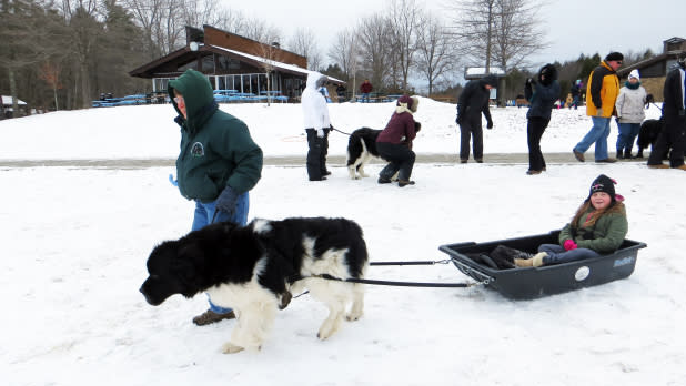 34th Annual Winter Fest in Grafton
