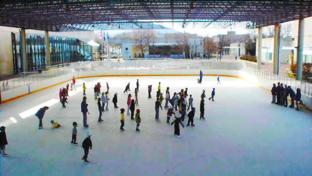 Nasser Civic Center Ice Rink