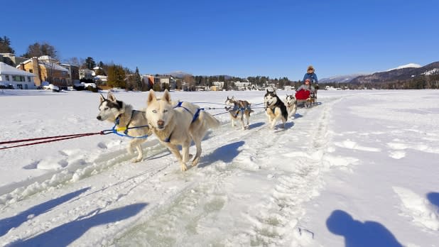 Dog Sledding on Mirror Lake