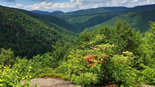 Poet's Ledge hiking trail, Catskills