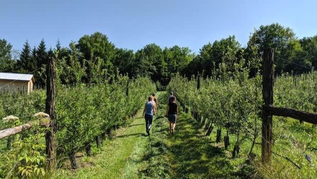 Table to Farm Tours