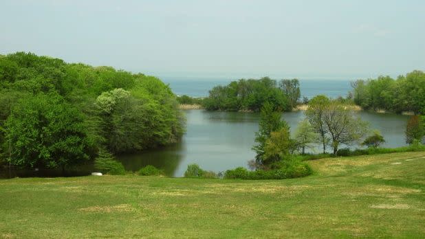 Green trees in front of a lake at Caumsett State Park, Lloyd Harbor, New York