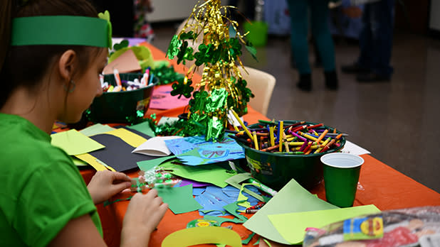 North Country Goes Green Festival