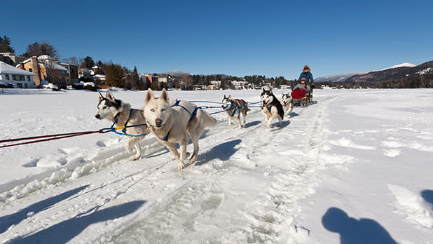 Dogsled Rides on Mirror Lake - Photo by NYS ESD