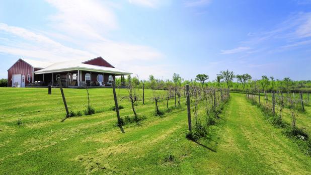 Otter Creek Winery