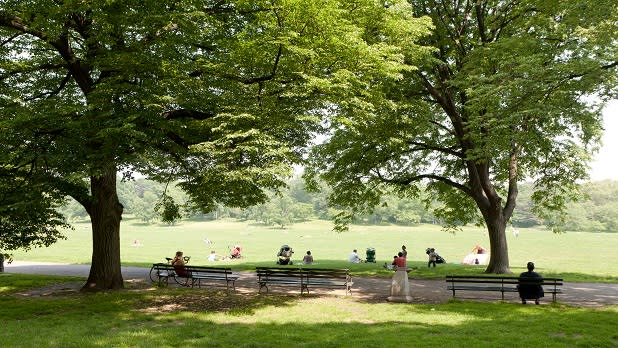 Prospect Park Meadow in NY