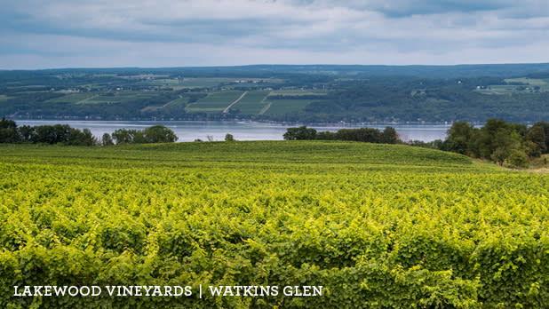 A photo of the view of Lakewood Vineyards along the Seneca Lake Byway