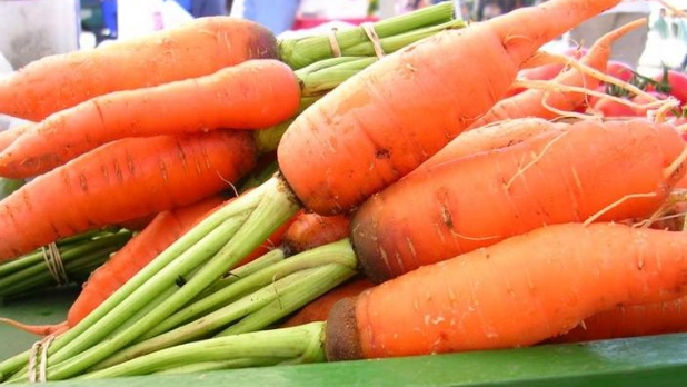 A basket of carrots at the Hudson Farmer's Market