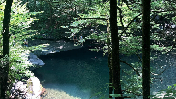 A blue swimming hole surrounded by trees at the Sundown Wild Forest in the Catskills