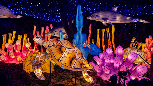 Light sculptures in fluorescent hues at Holiday Lights at Bronx Zoo
