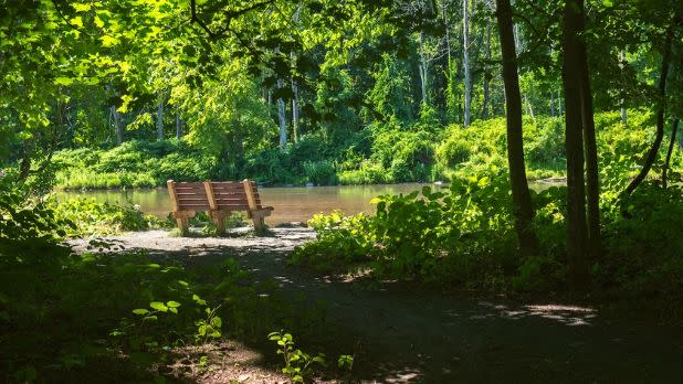 A bench on a lake at Maurice D. Hinchey Catskill Interpretive Center