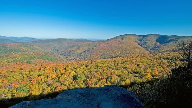 Hiking trial to Giant Ledge offering views of Wittenberg and Slide Mountains