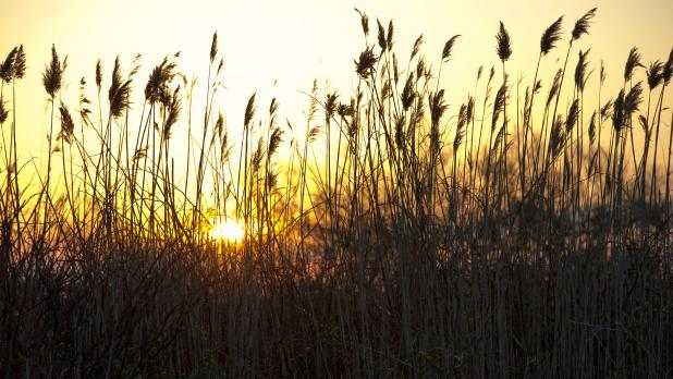 Sunrise at Captree State Park