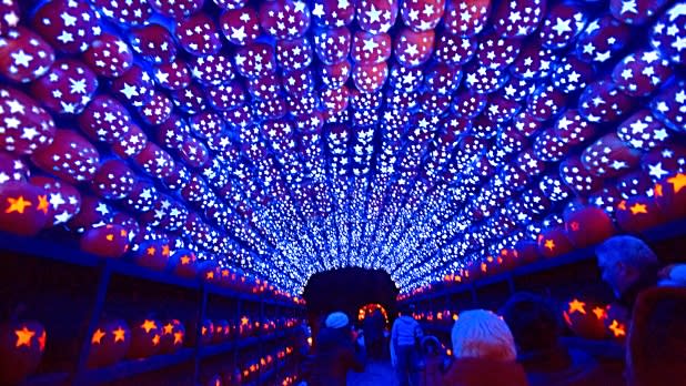 Crowd viewing the Great Jack O'Lantern Blaze