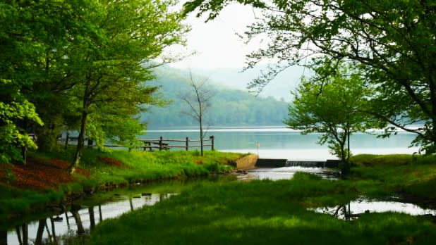 Mongaup Pond State Campground overlooking lake