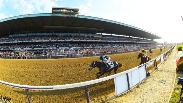 Horses racing at Belmont Stakes Racing Festival Long Island