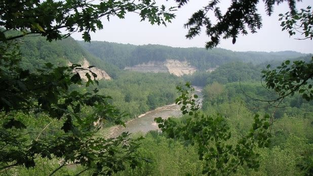 A view through the trees of the Zoar Valley