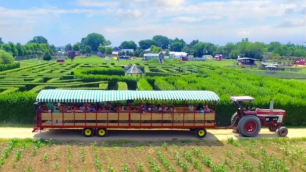 Tractor rides at Harbes Family Farm