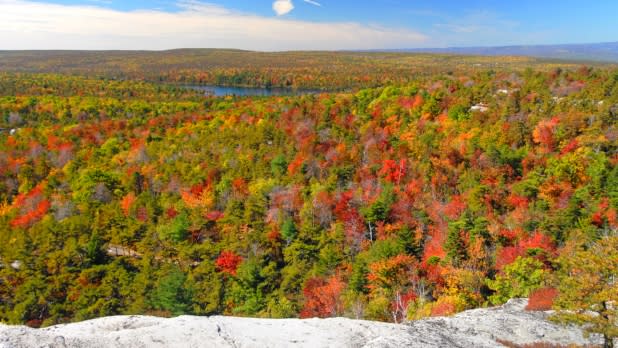 Fall foliage overlooking Minnewaska State Park