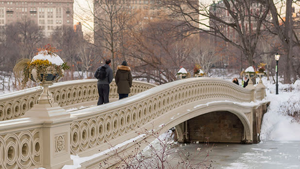 Central Park Bridge in Winter 